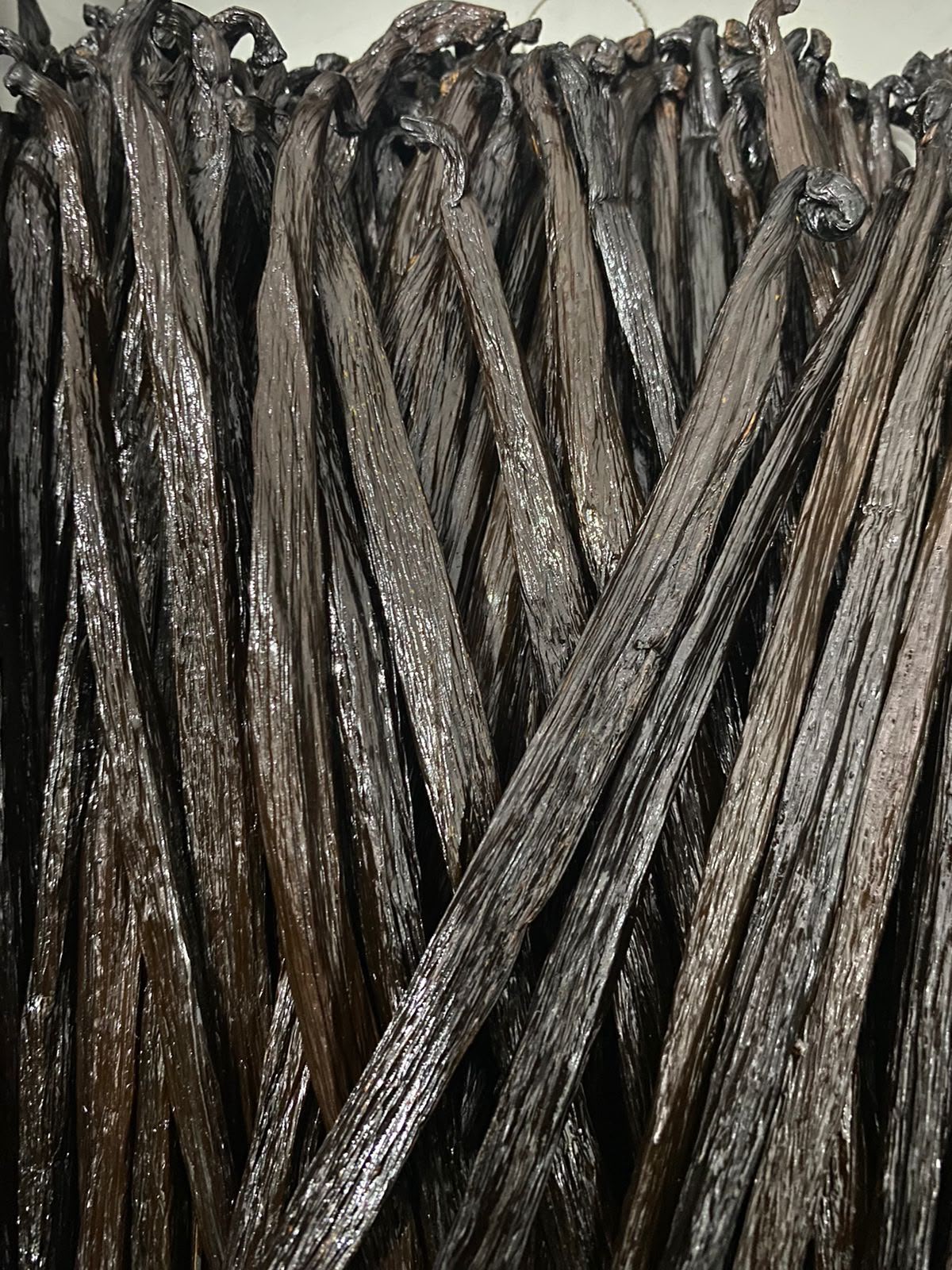 Premium cured vanilla beans dari Indonesia